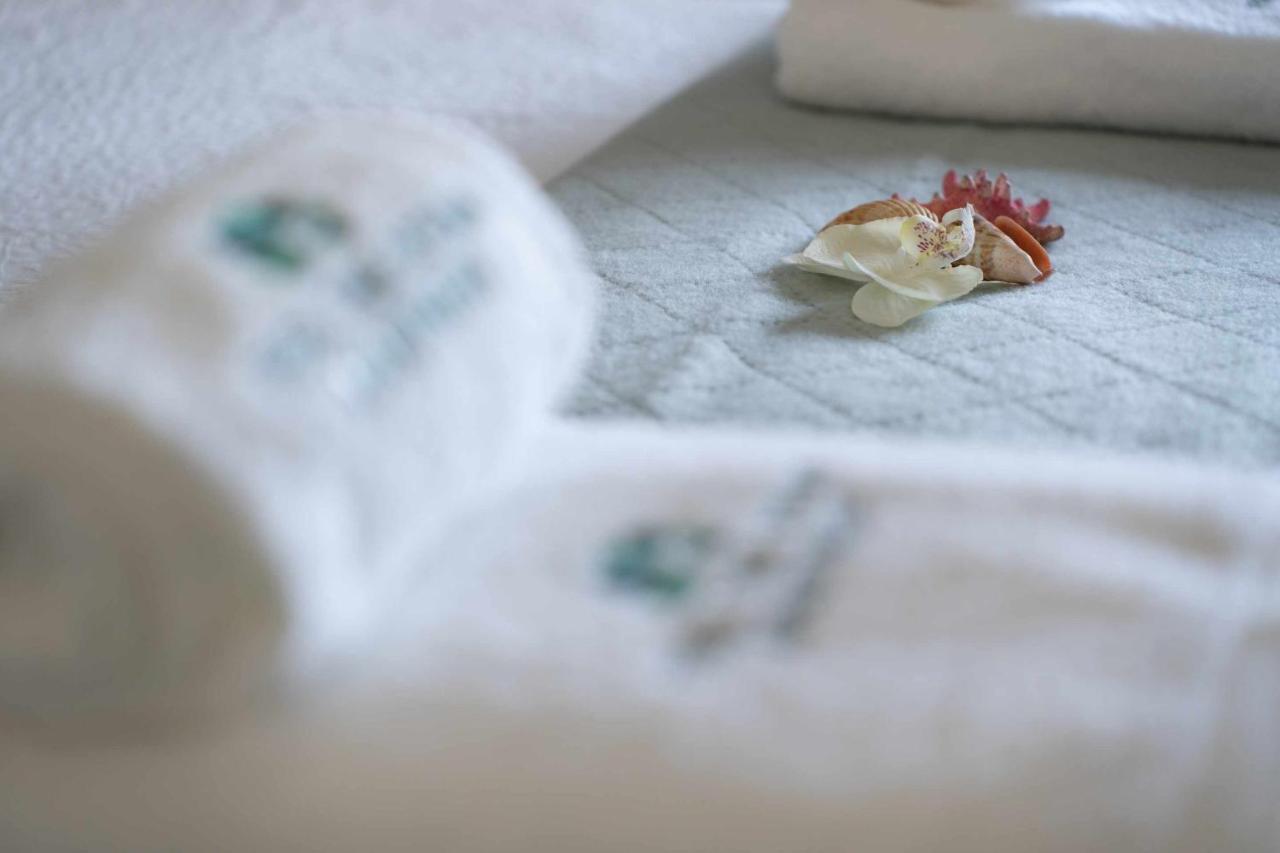 Feel The Ocean Apartment Praia Do Cabedelo 비아나도카스텔로 외부 사진